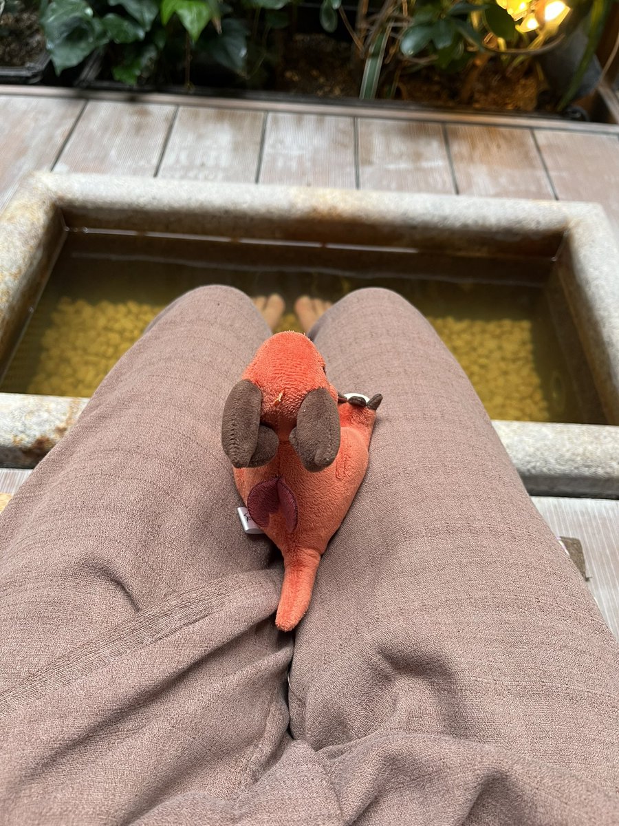 マサキ tweet media