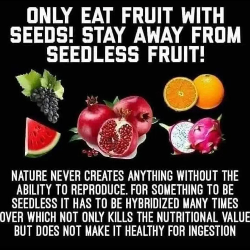 Organic Live Food tweet media