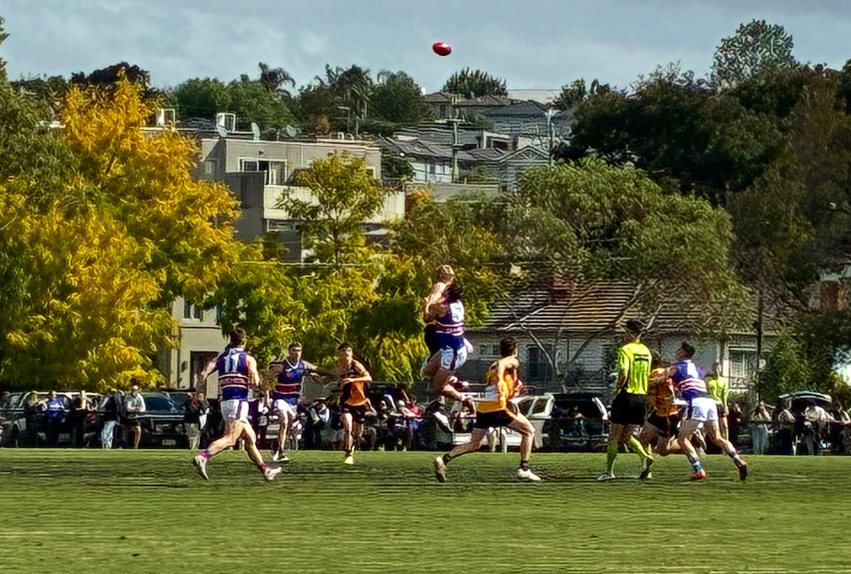 Peter McConnell tweet media