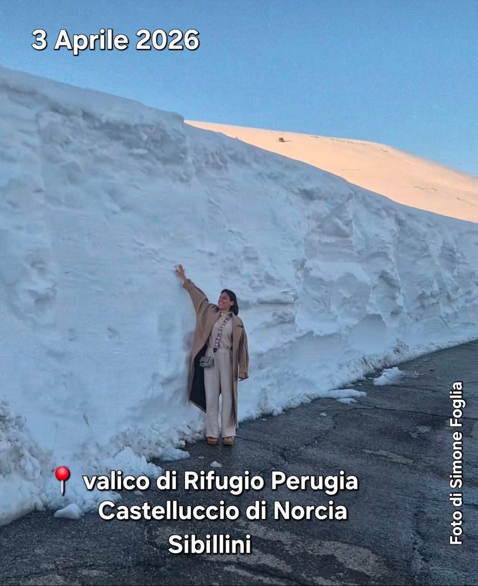 Italia 24H Live 🔴 – Notizie dall'Italia tweet media