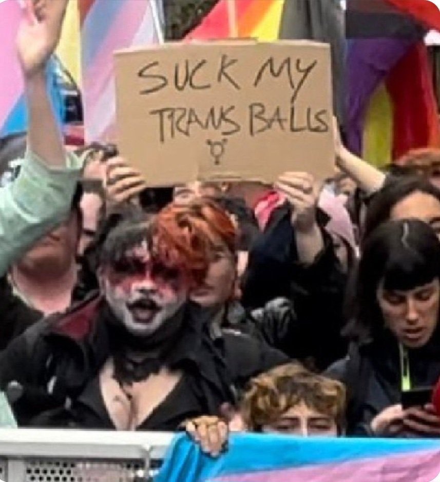 potnoodle tweet media