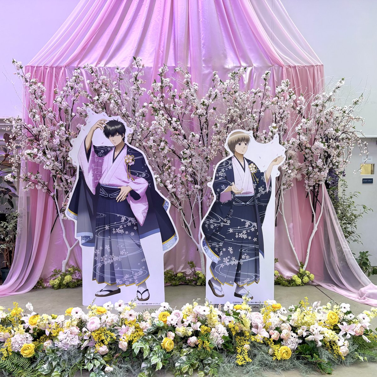 あさひ tweet media