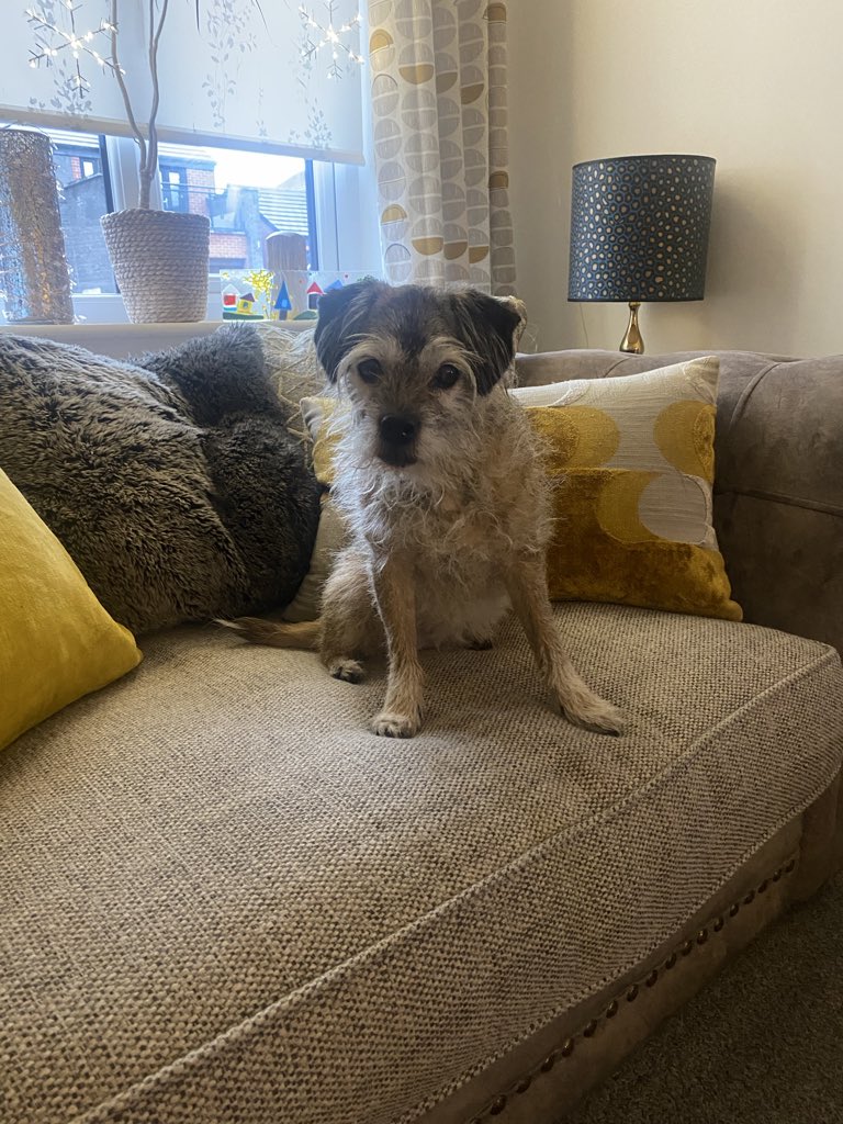 Elsa CBE ๐& Lady Bess CBE HOW tweet media