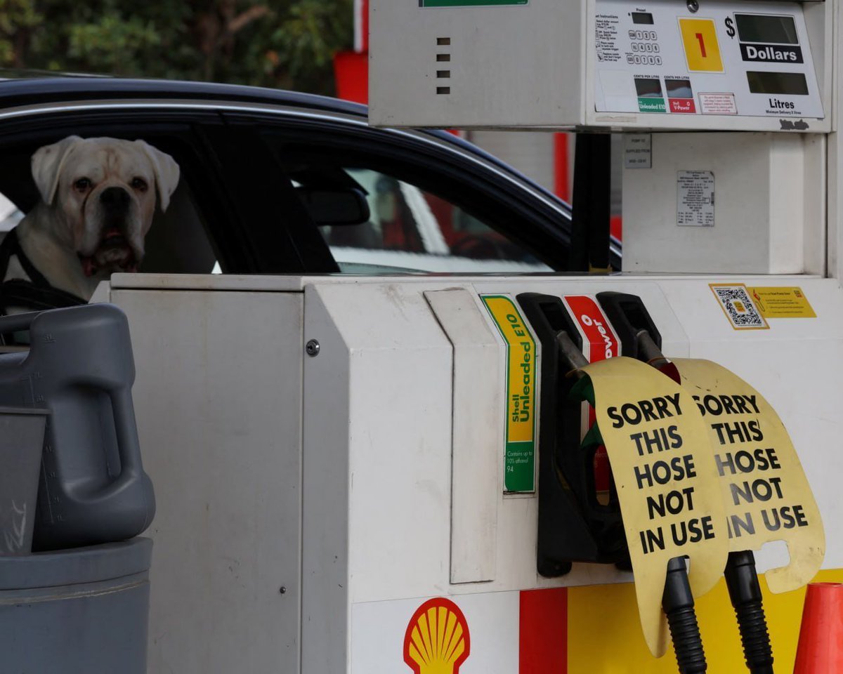 爪卂ㄒ丂ㄩ卄丨爪乇 Kirschblüten-Prinzessin tweet media