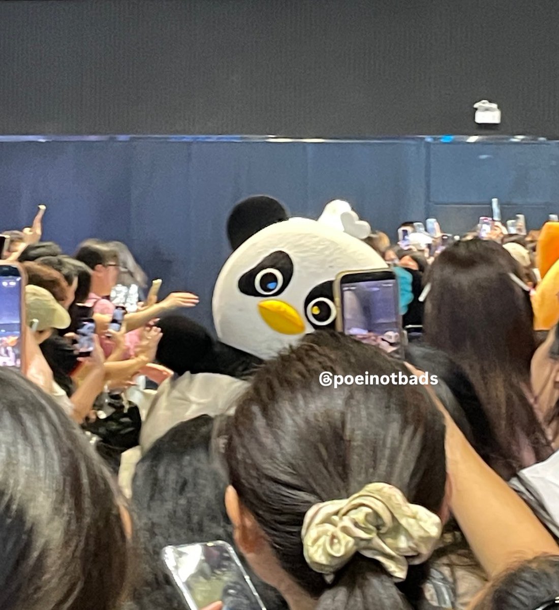 โพอี้ tweet media