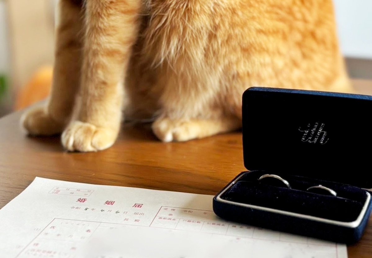 LiJu（りじゅー）＠ArCo.⏰ 🔫🍹 tweet media