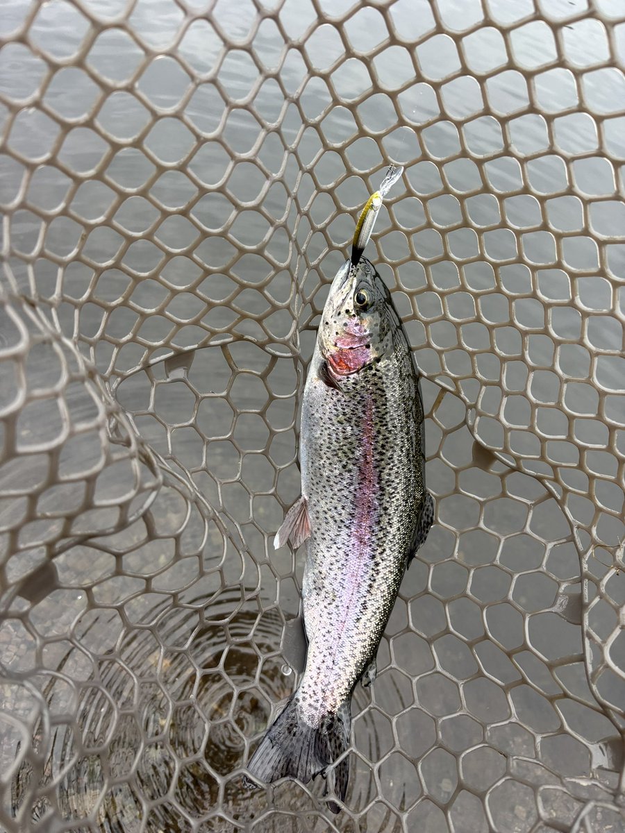 achu_702's tweet photo. ひさびさに釣り🎣朝から昼まで40匹
トップとミノーがよかった😛
集団の人達、楽しいのはいいけど声デカすぎ…知識ひけらかしすぎ笑笑 https://t.co/IoEV6OcAfU