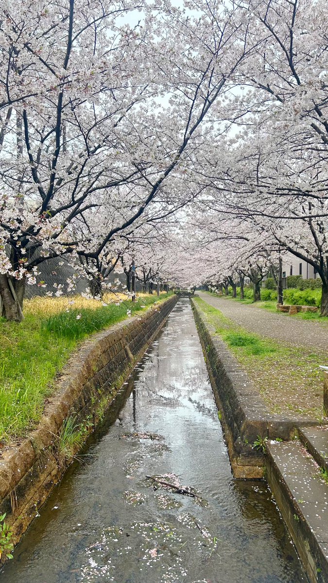 新人広報のよな｜ライブ配信勉強中 tweet media