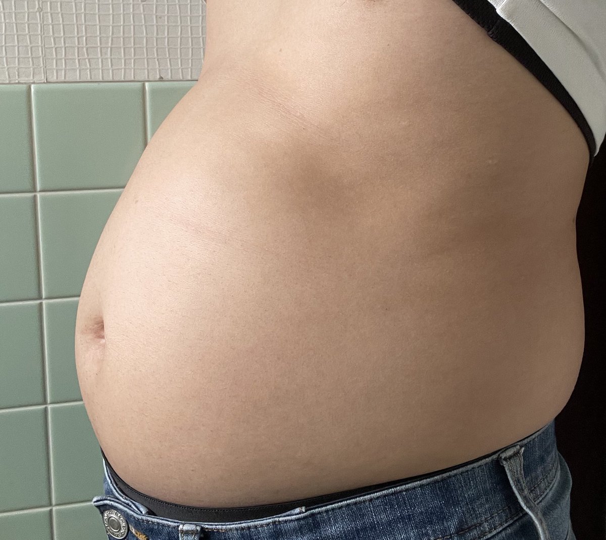 太膨狐🦊 tweet media