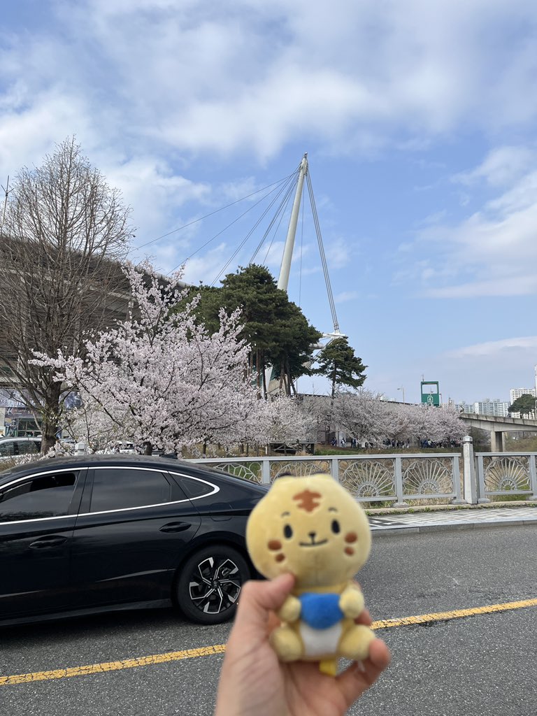 primausn tweet media