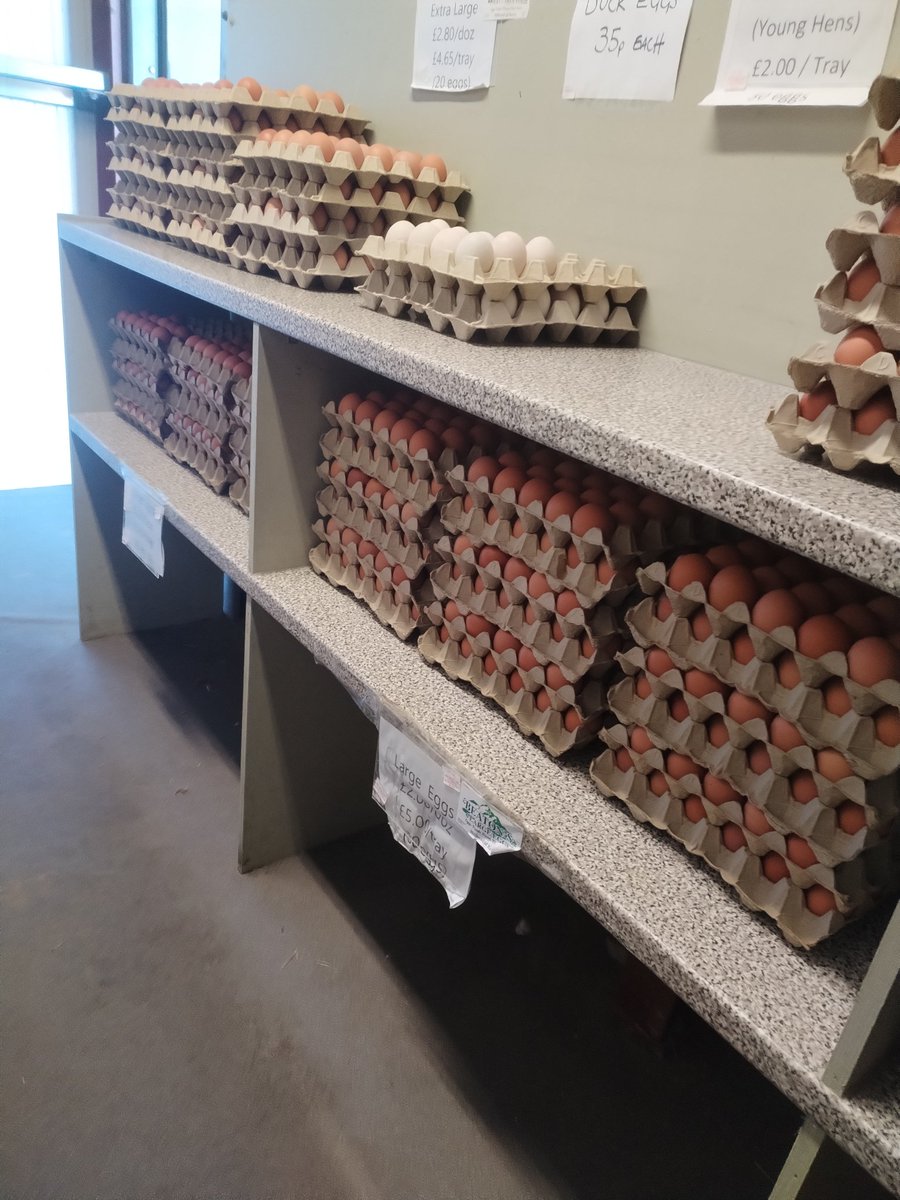 DORIC CHAS tweet media