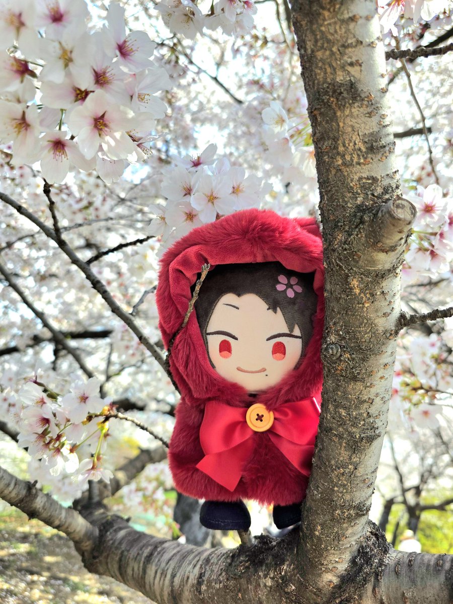 ディア tweet media