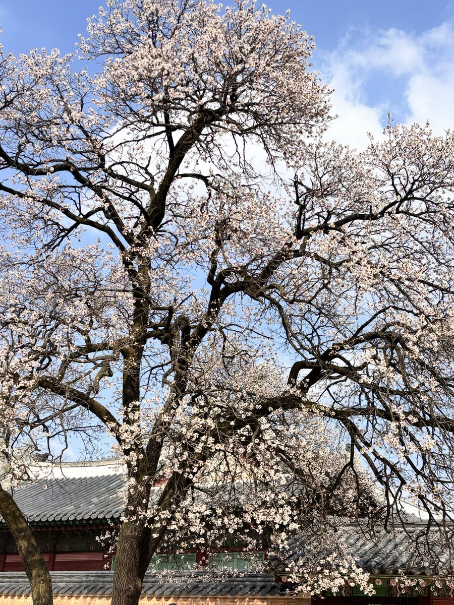 퇴근귀신선지(큘 영상천재) tweet media