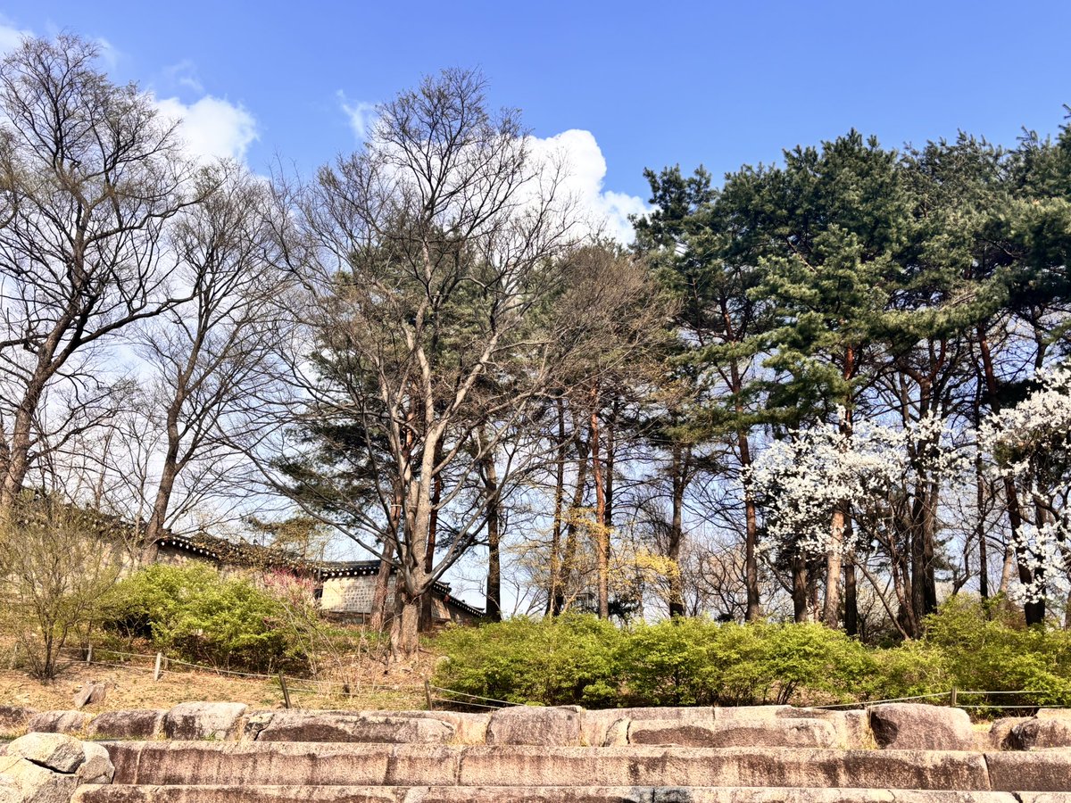 퇴근귀신선지(큘 영상천재) tweet media