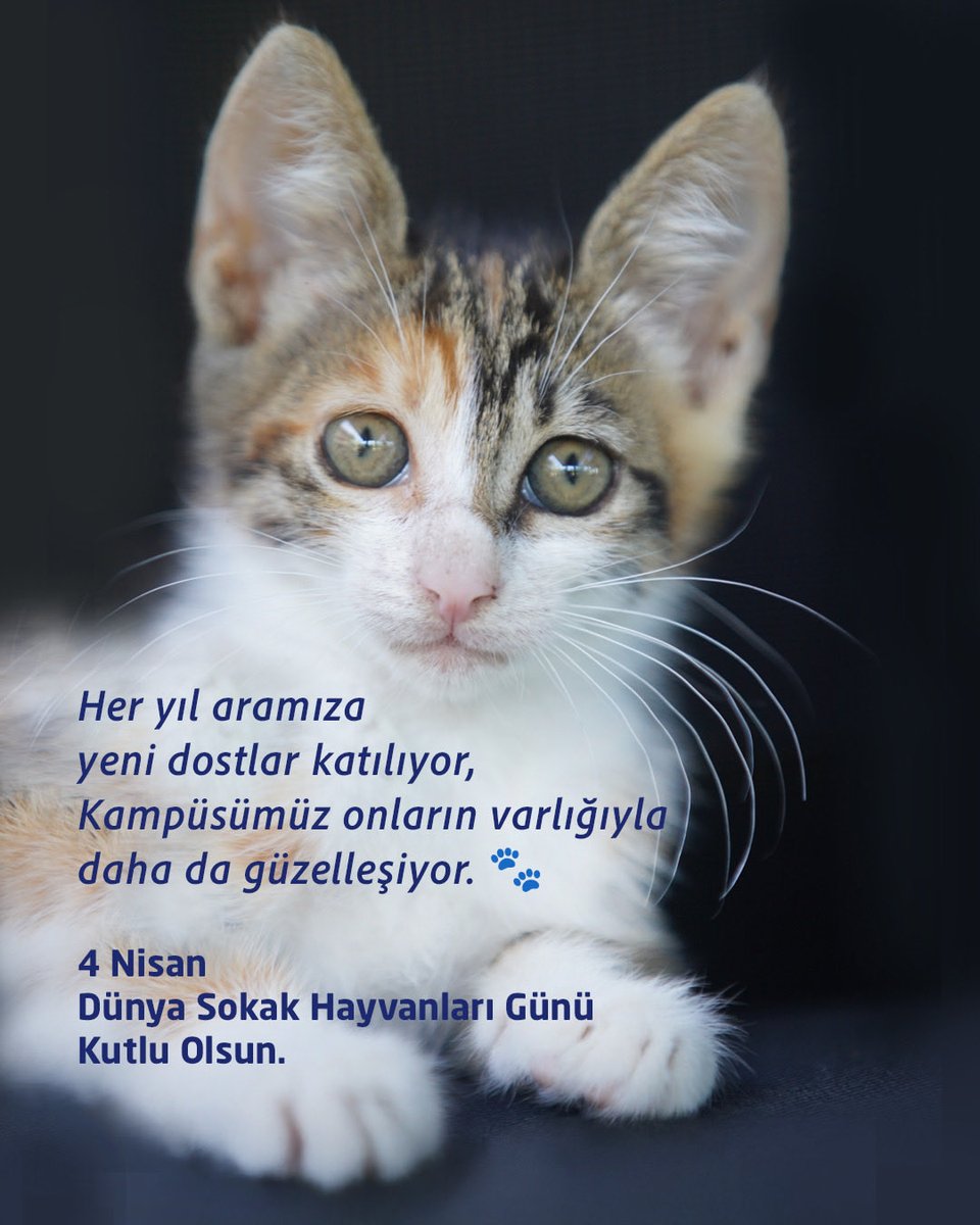 MEF Üniversitesi tweet media