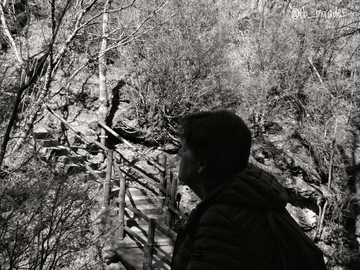 Francesc Brunés 💐🌻🪻 tweet media