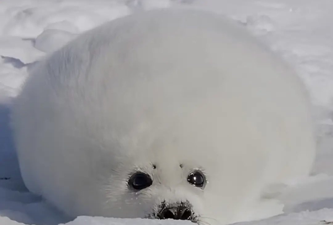 morningcoffee☕️ tweet media