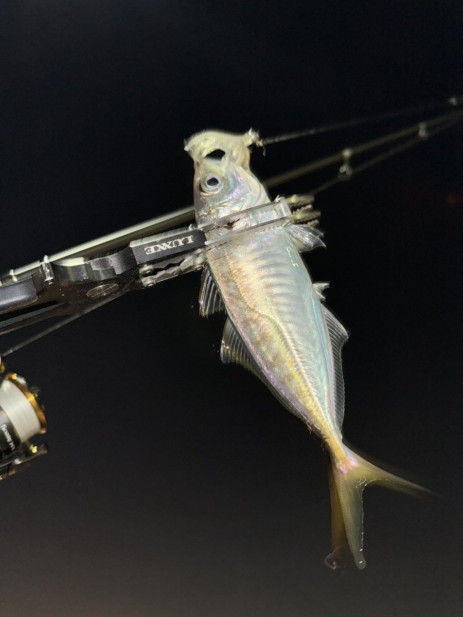 手稲の蒼い流星 tweet media