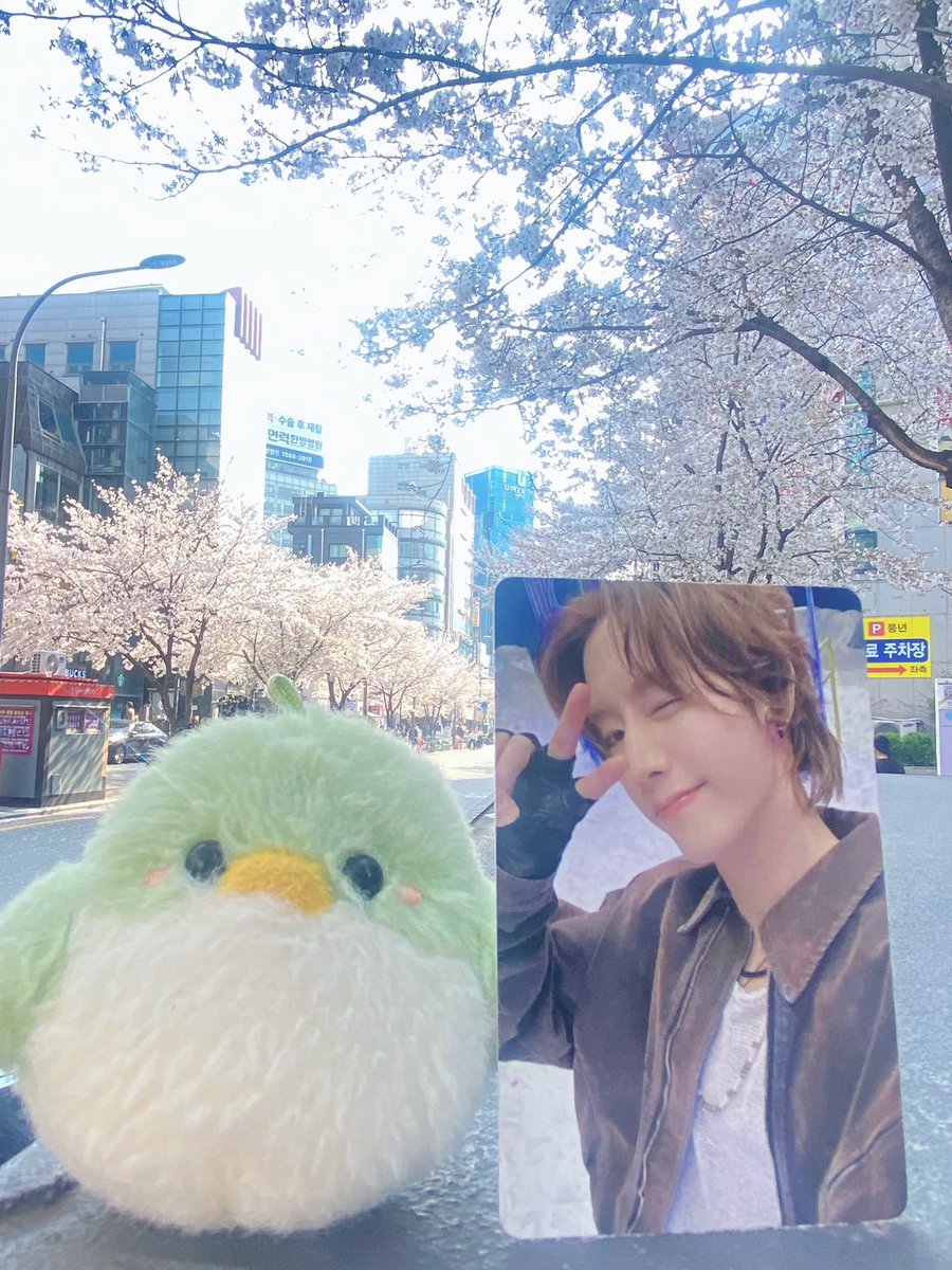 벌꽃 너무 예쁨 🌸🐥