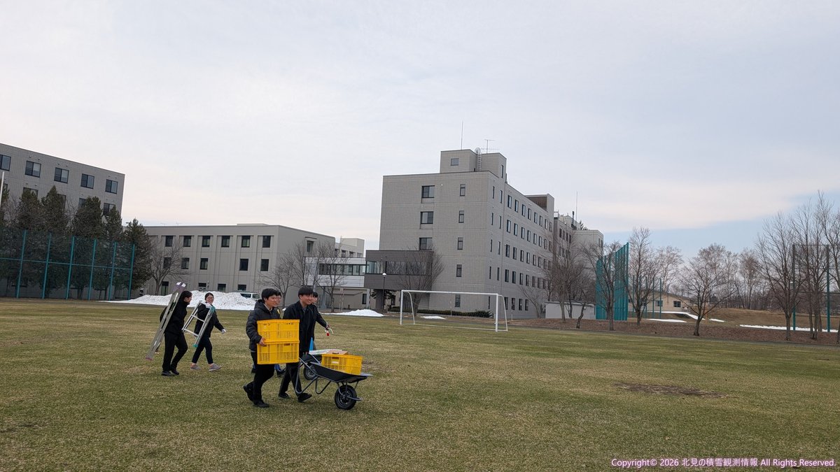 北見の積雪観測情報（気象予報士 白川龍生） tweet media