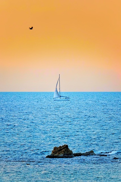 John Carrington tweet media