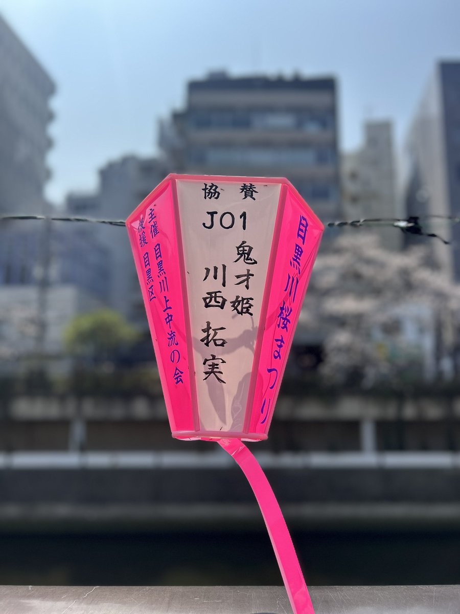 ta9mll's tweet photo. 目黒川桜まつり🌸

今年は見に行けてよかった♡
鬼才姫✨️ https://t.co/SWiHOD9FlV