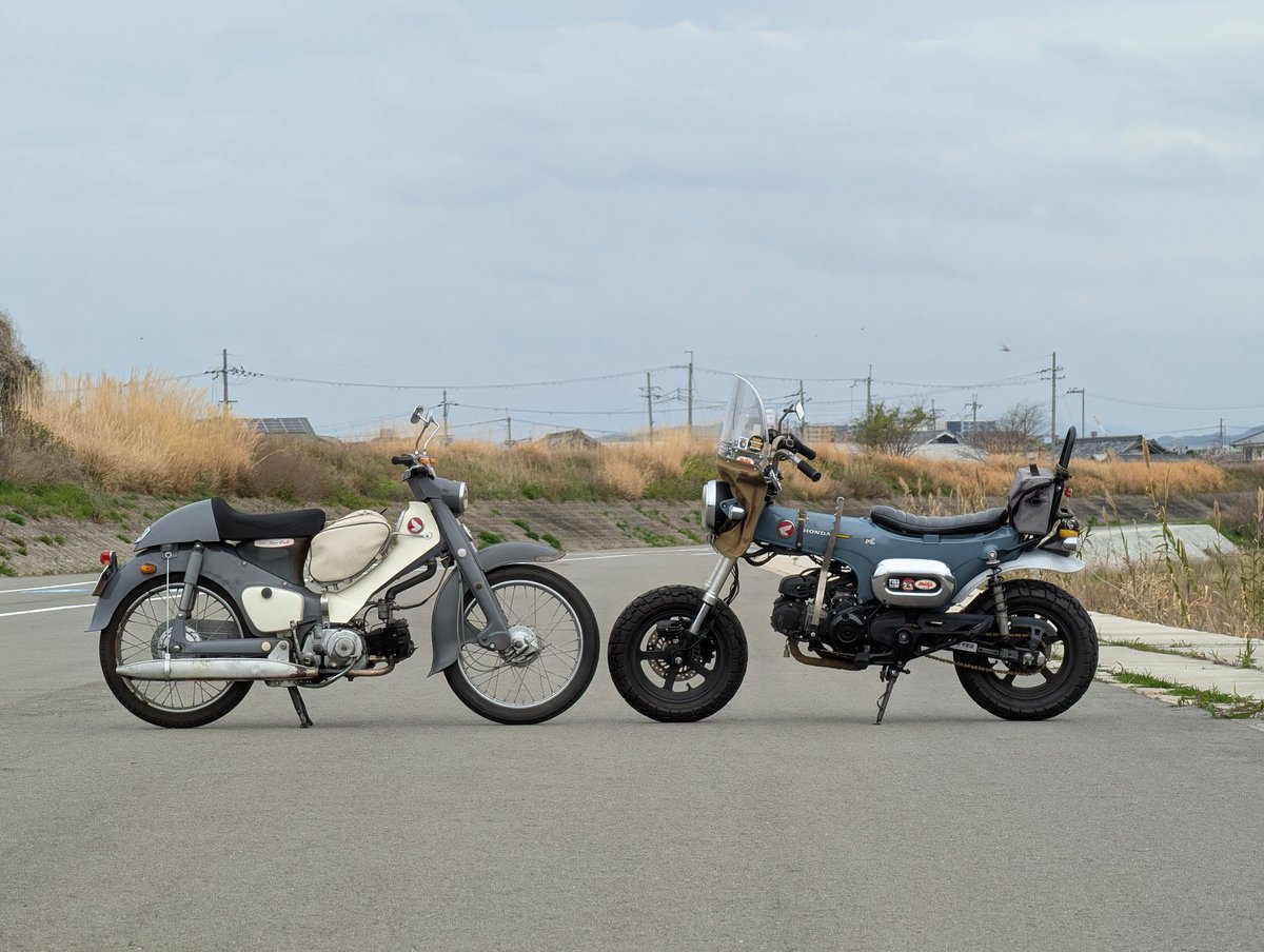 バッシー843☆ tweet media