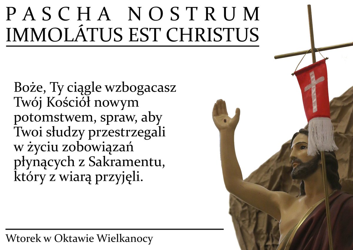 Msza Święta Trydencka tweet media