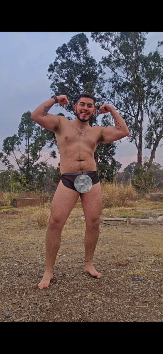 Ivan Rojas 🐻 tweet media