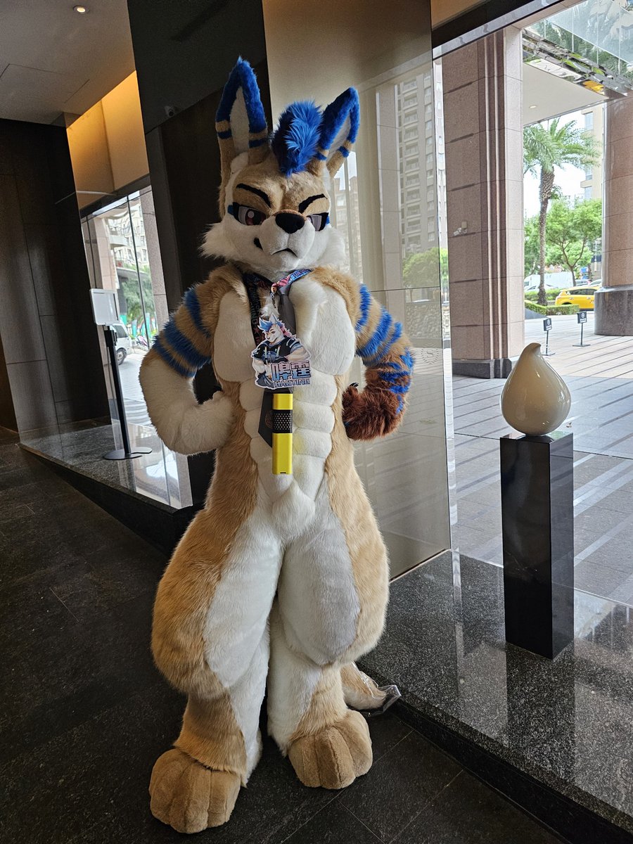 🦘暤霆(Haoting)🔜Thaitails tweet media