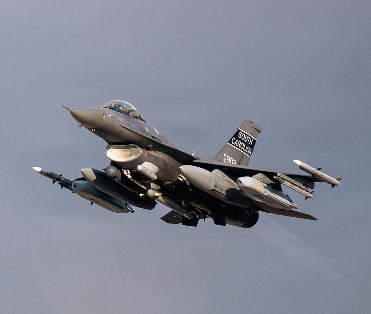 Patarames tweet media