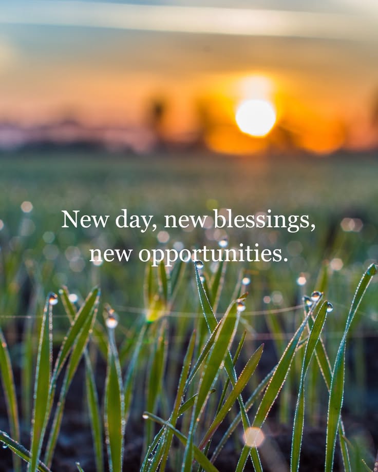 POSITIVITY (@positivitysaid) on Twitter photo 