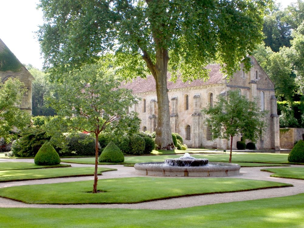 Mary 💚🕊🌿 tweet media