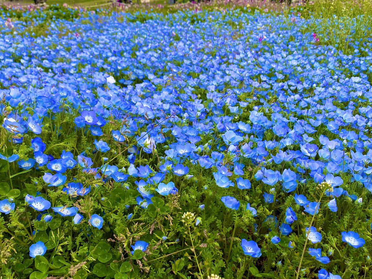 れたまる🐈‍⬛ tweet media