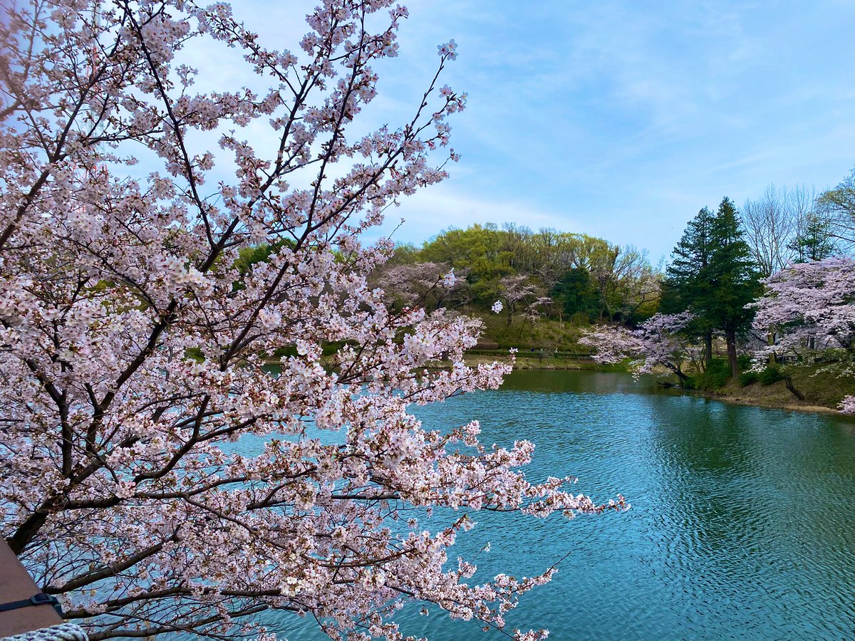 れたまる🐈‍⬛ tweet media