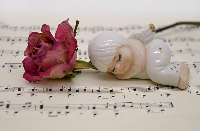 Verna Lowe tweet media