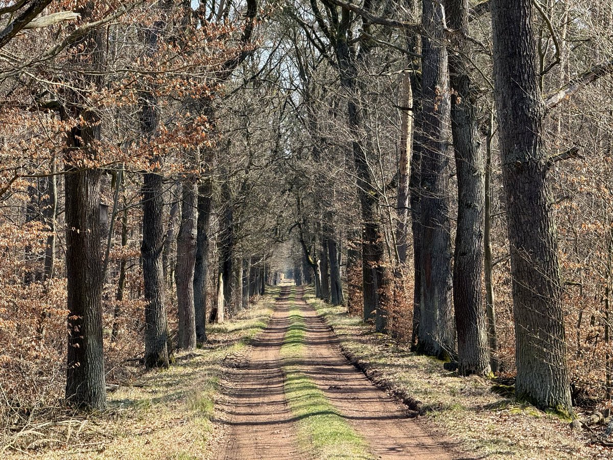 Esperanza 🇵🇱🇪🇺 tweet media