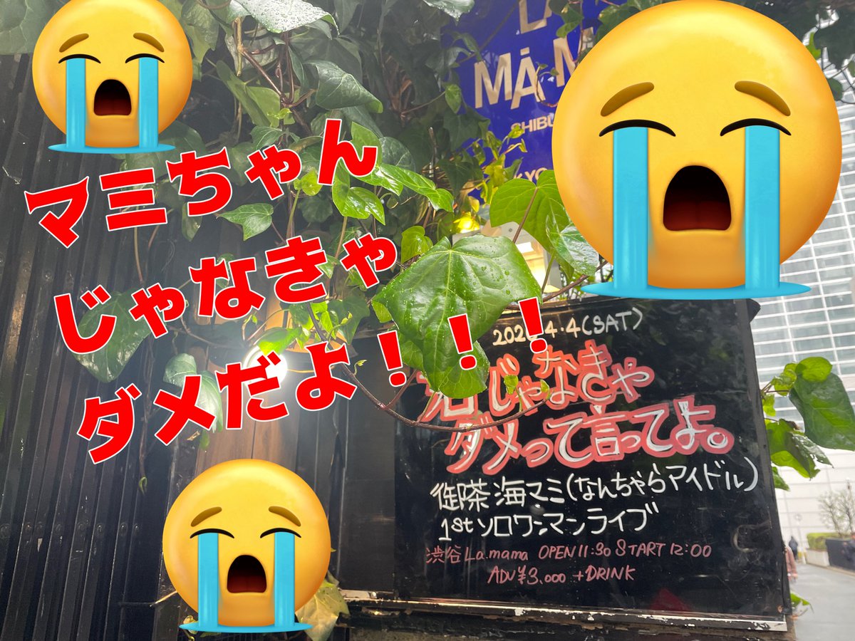 しずくいし tweet media