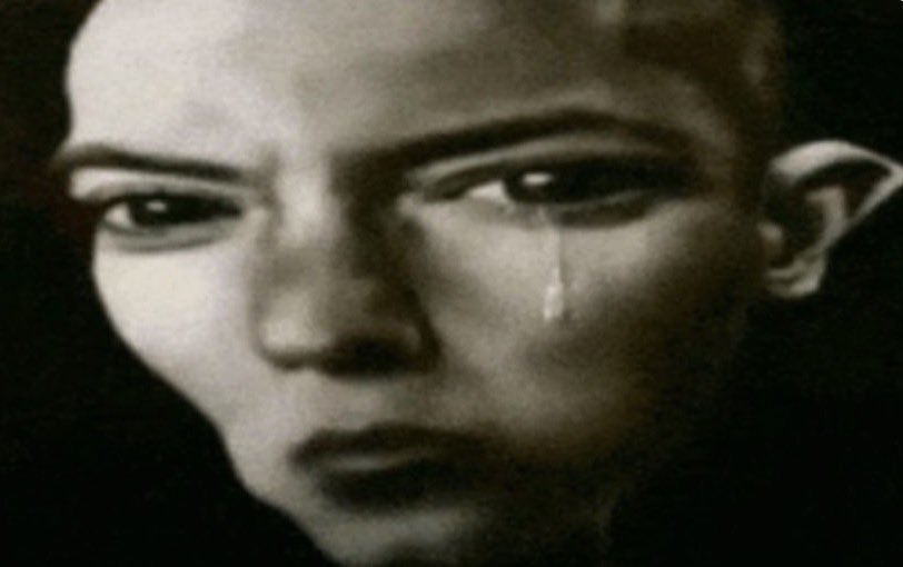 frito fefi ‧₊ ♪˚⊹ tweet media