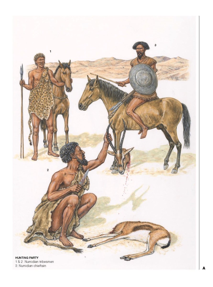 Antigrabez tweet media