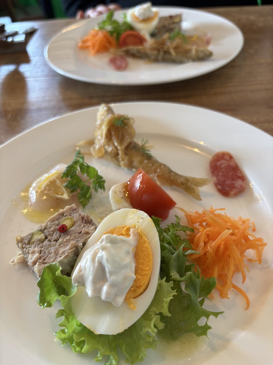 たんたんぼっち。 tweet media