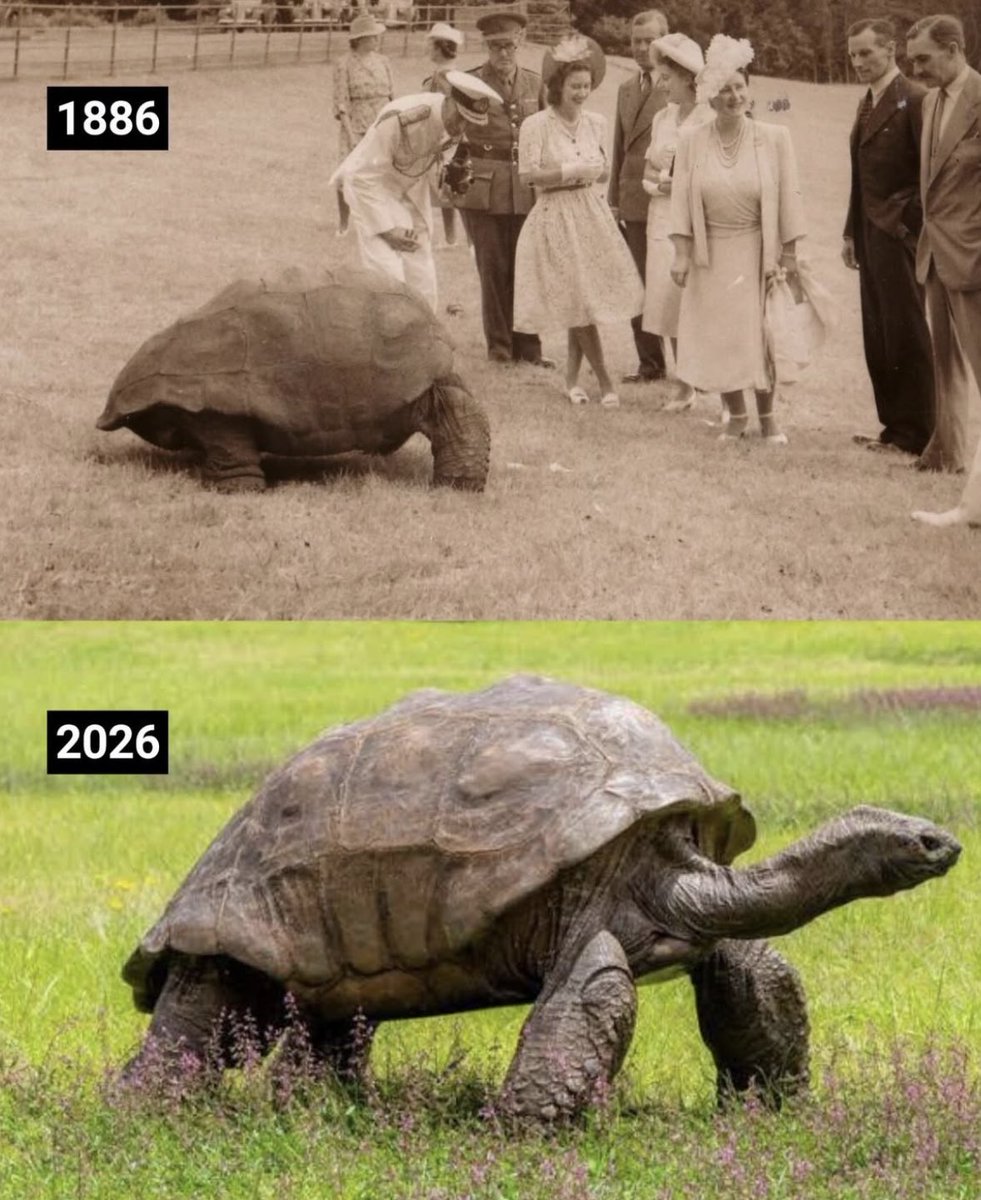 folkative tweet media