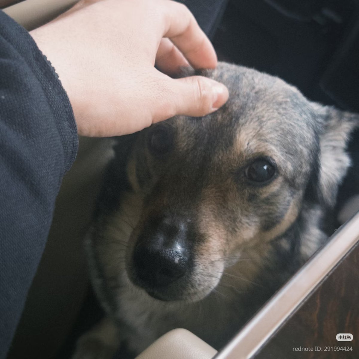 แมวส้มจิ² 希衍 🧡 tweet media