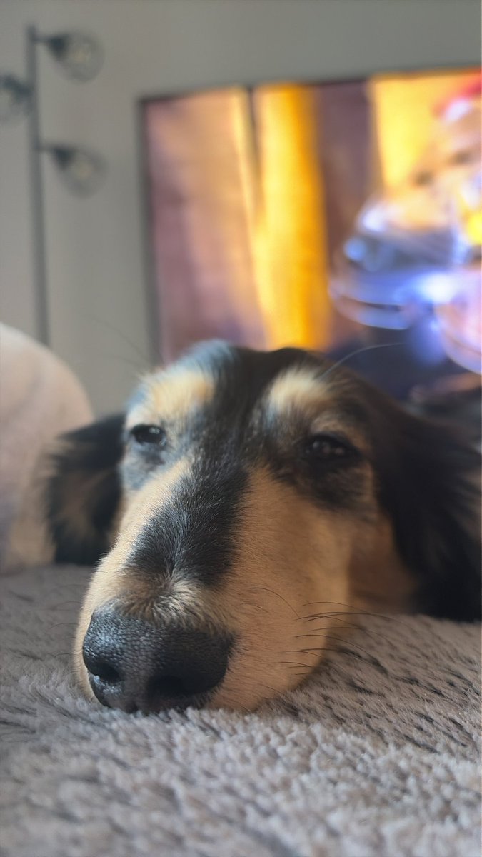 natsumi🪴 tweet media