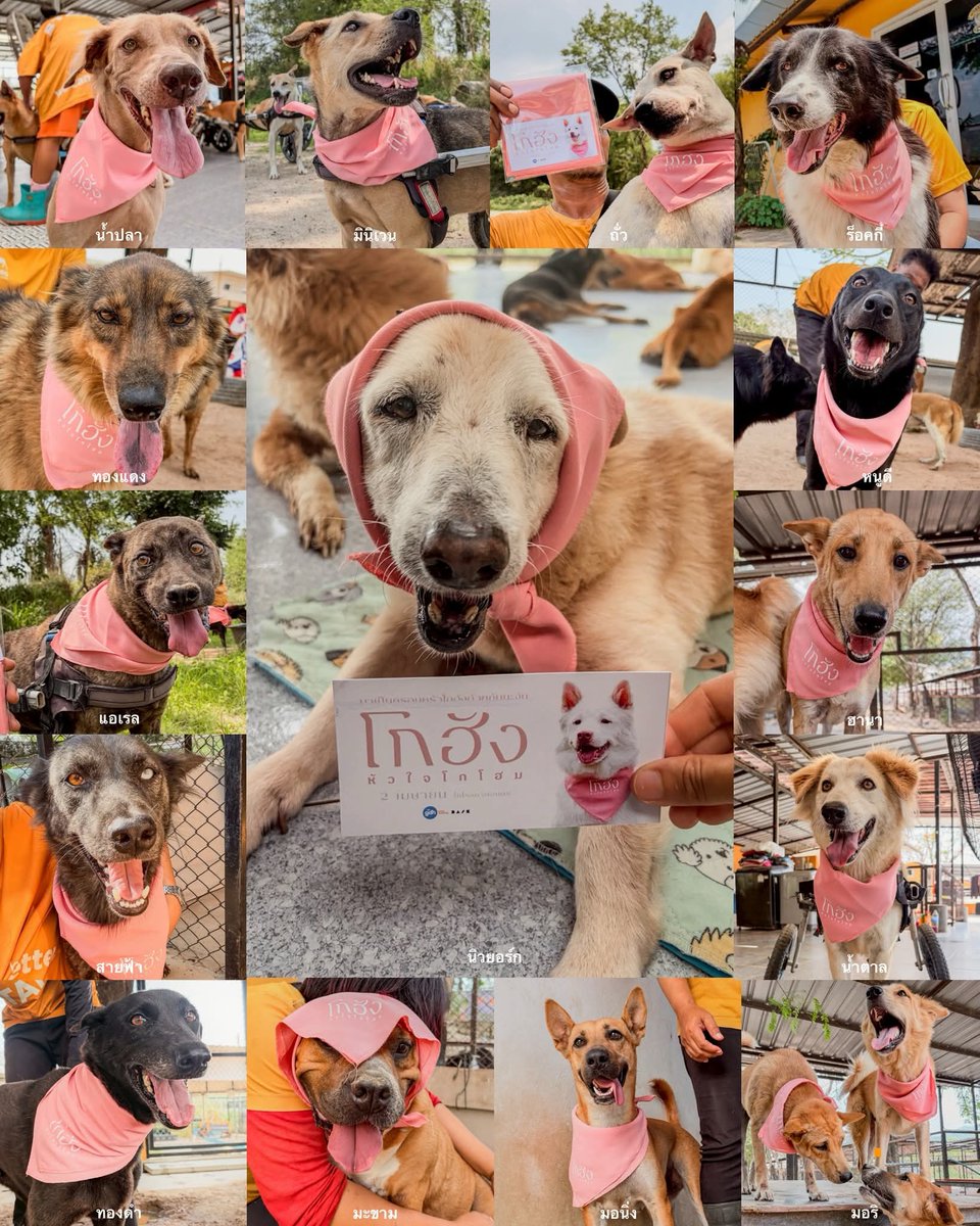 ผู้ชายคนนั้นจากหนังเรื่องนี้🍒 tweet media