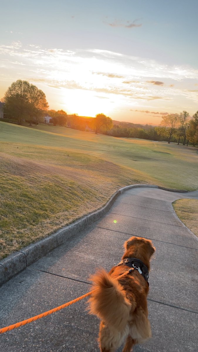 Darren Longmire (@darrenlongmire) on Twitter photo 