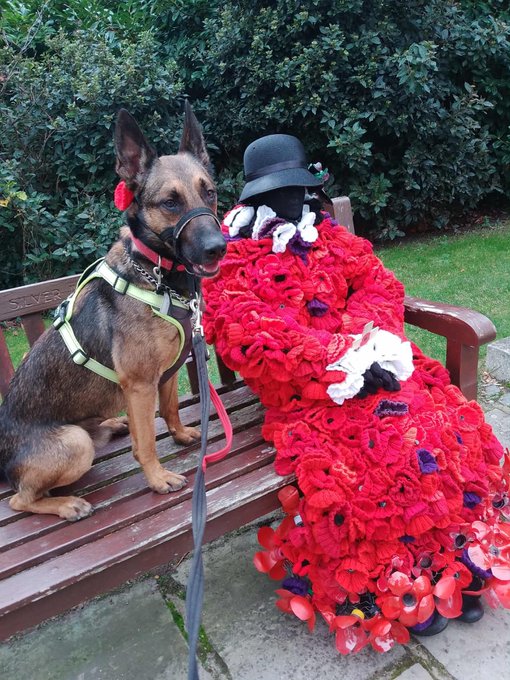 German Shepherd Rescue Elite ( GSRE ) tweet media