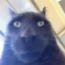 Claw 🇳🇴 tweet media