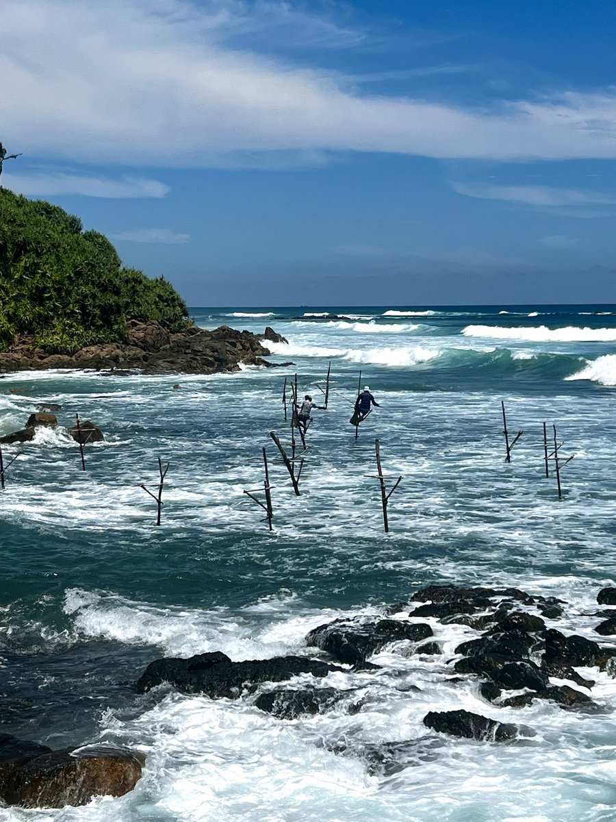 Aaron 🦈 tweet media