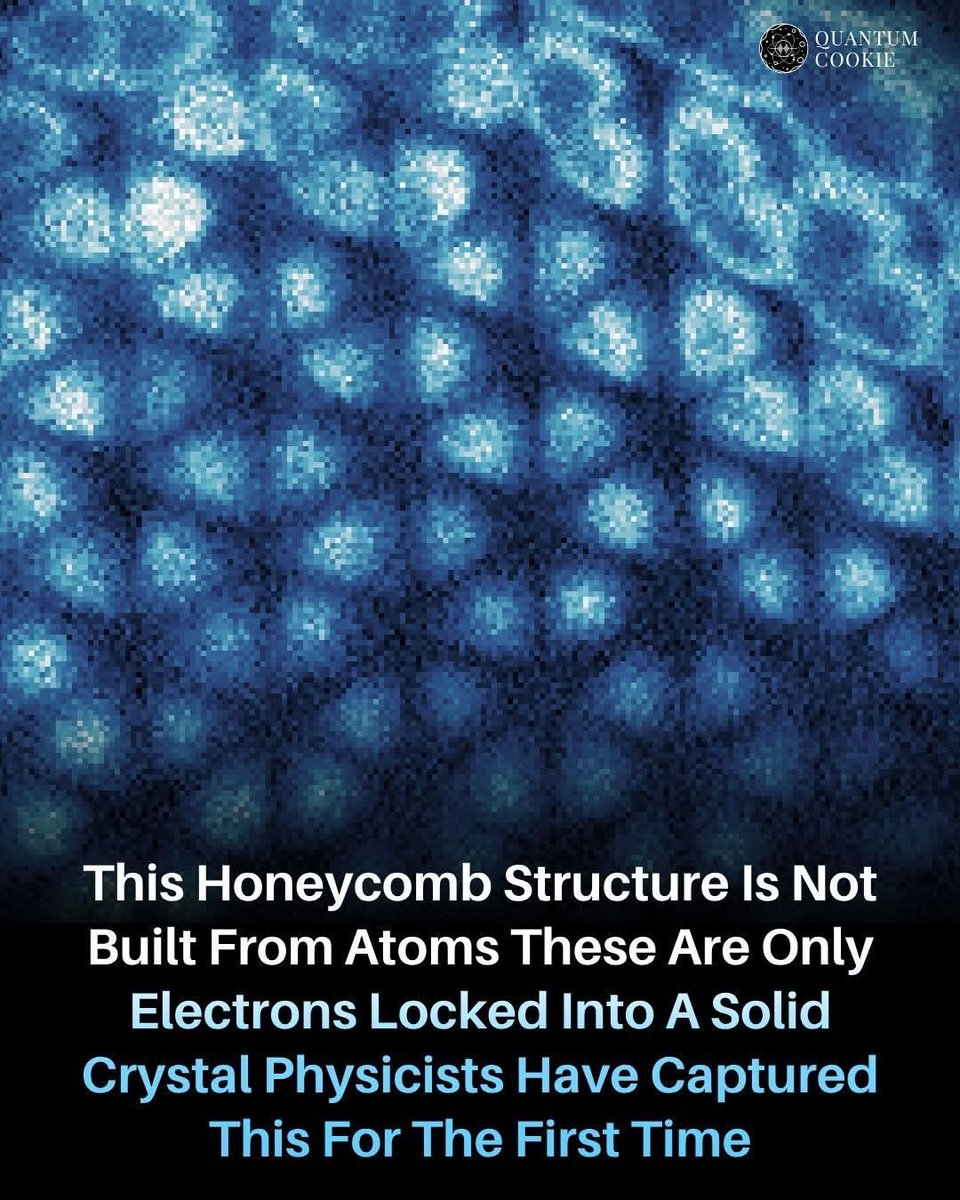 Hello math tweet media